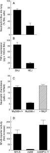 <b>Figure 4.</b>