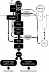 <b>Figure 7.</b>