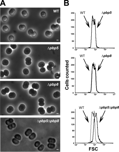 FIG. 3.