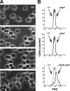 FIG. 4.