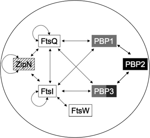 FIG. 7.