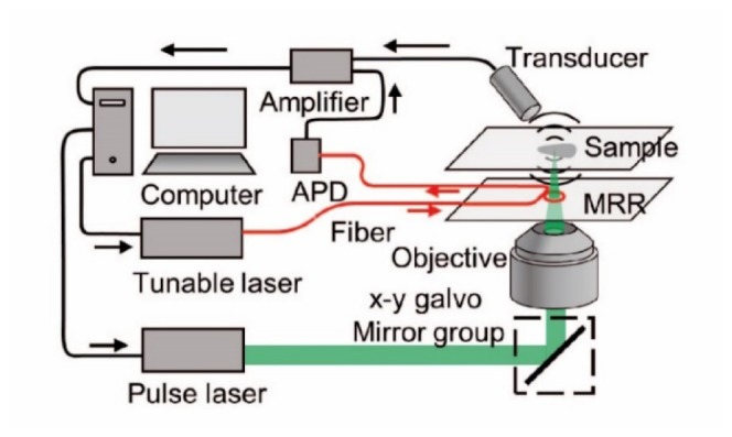 Fig. 3