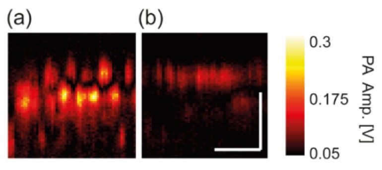 Fig. 7