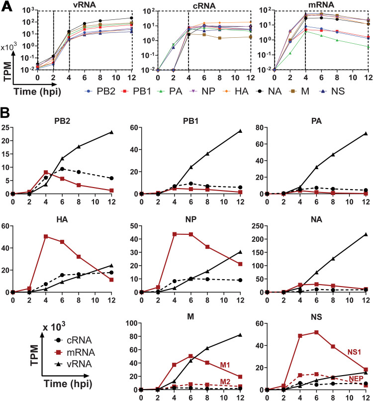 FIG 3