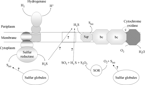 FIGURE 7.