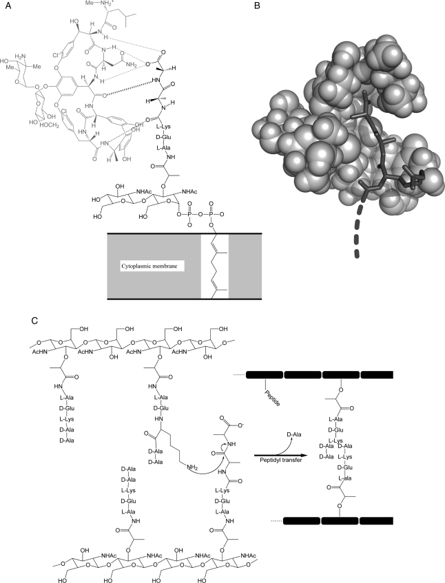 Fig. 1.