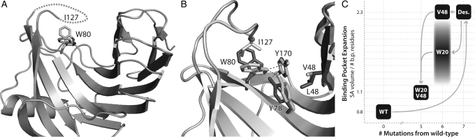 Fig. 5.