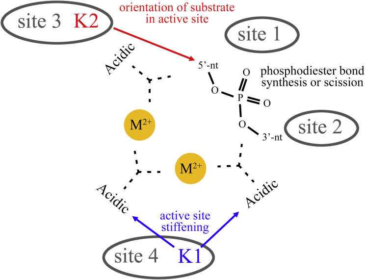 Figure 4