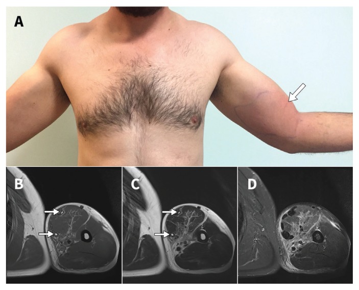 Figure 1: