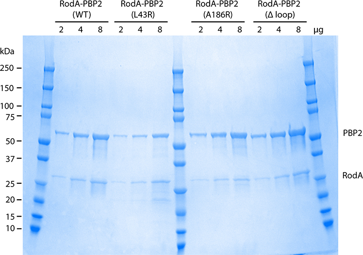 Extended Data Fig. 5: