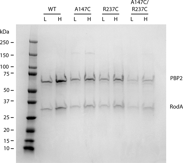 Extended Data Fig. 7: