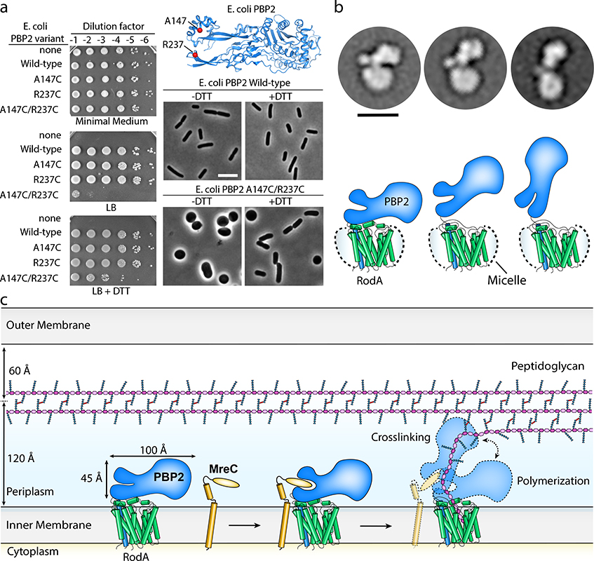 Figure 3 |