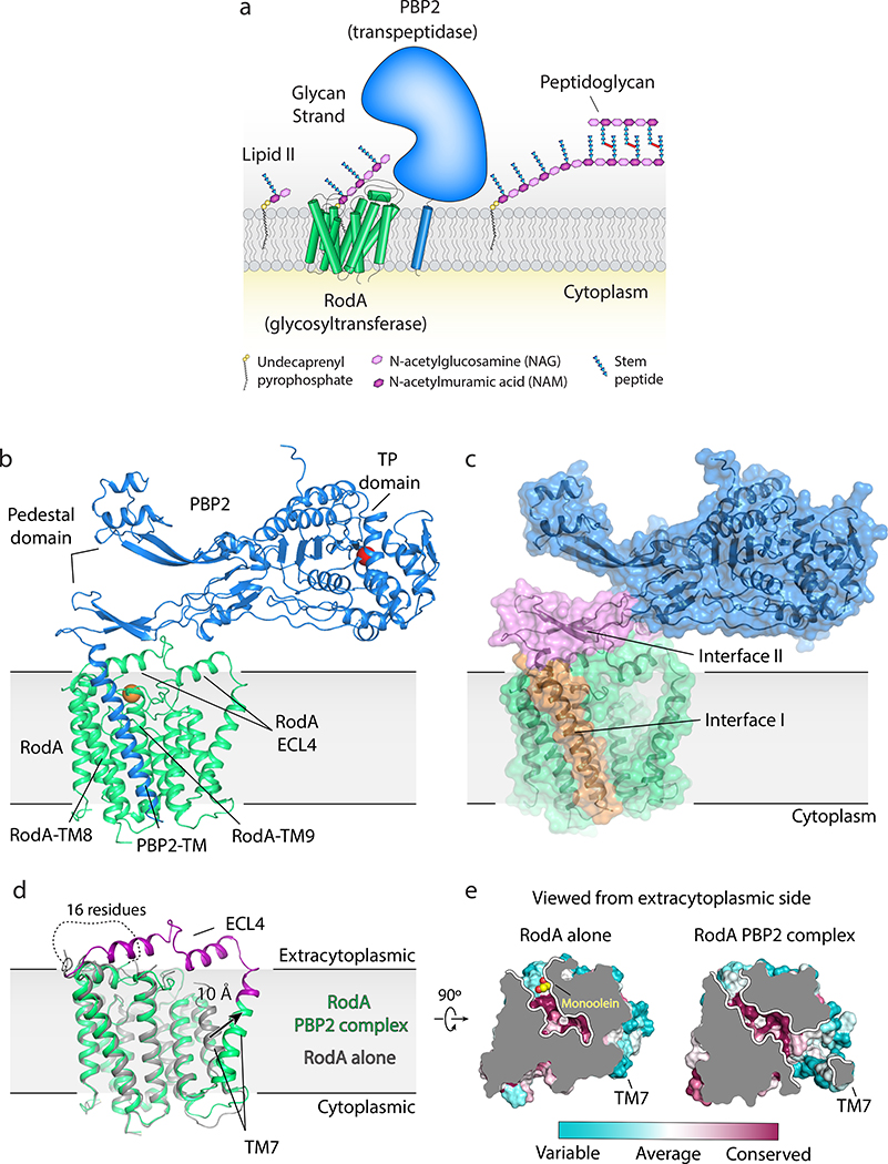 Figure 1 |