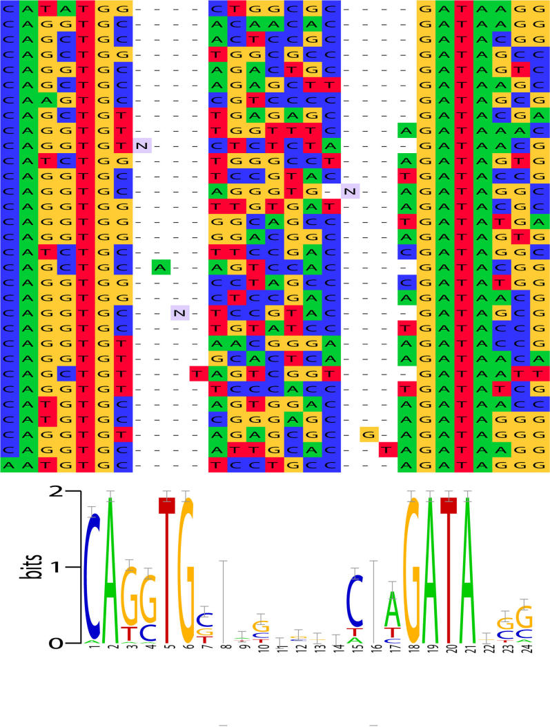 Figure 5