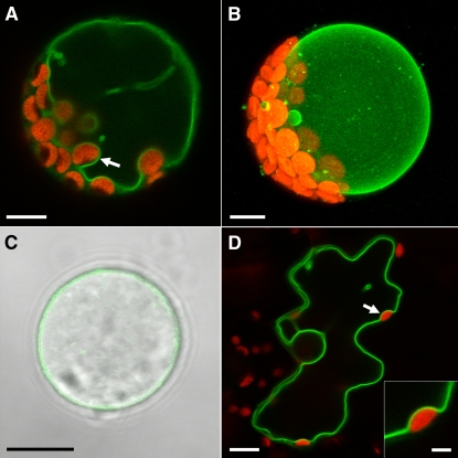 Figure 3.