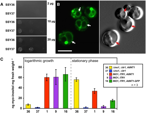 Figure 2.