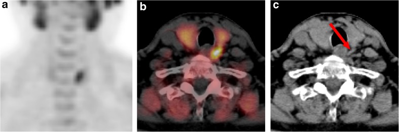 Fig. 3