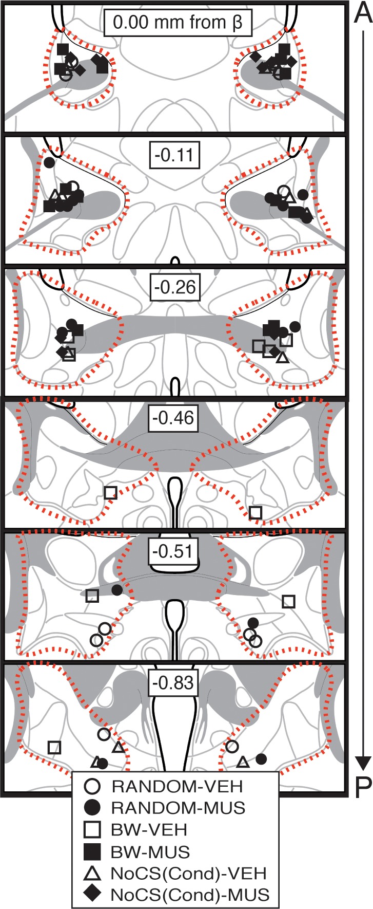 Figure 2—figure supplement 1.