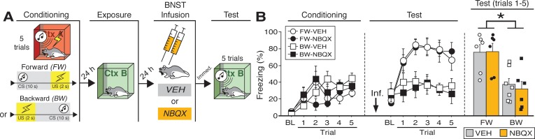 Figure 1—figure supplement 3.