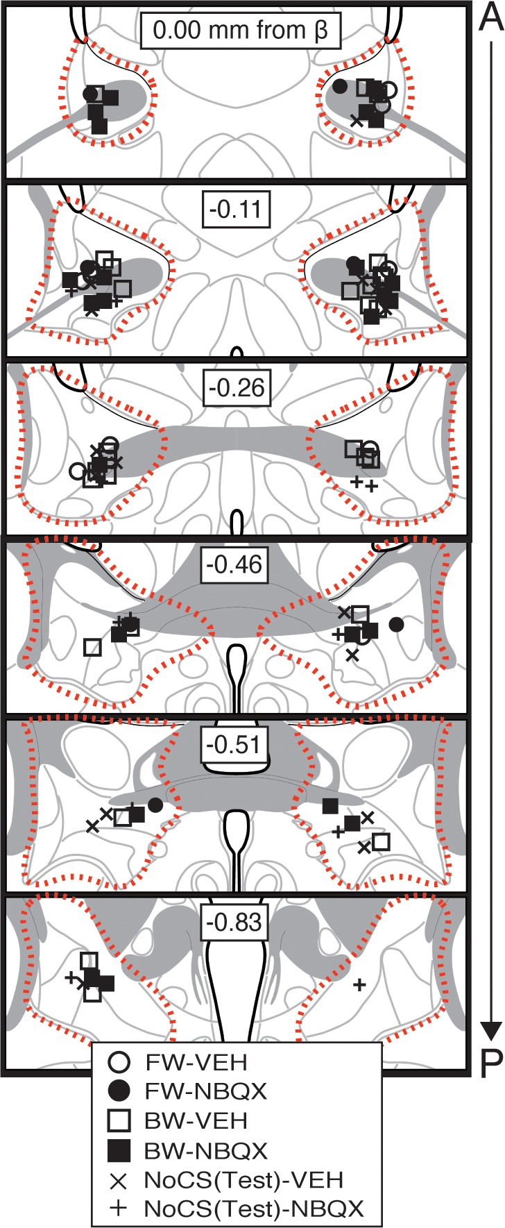 Figure 1—figure supplement 2.