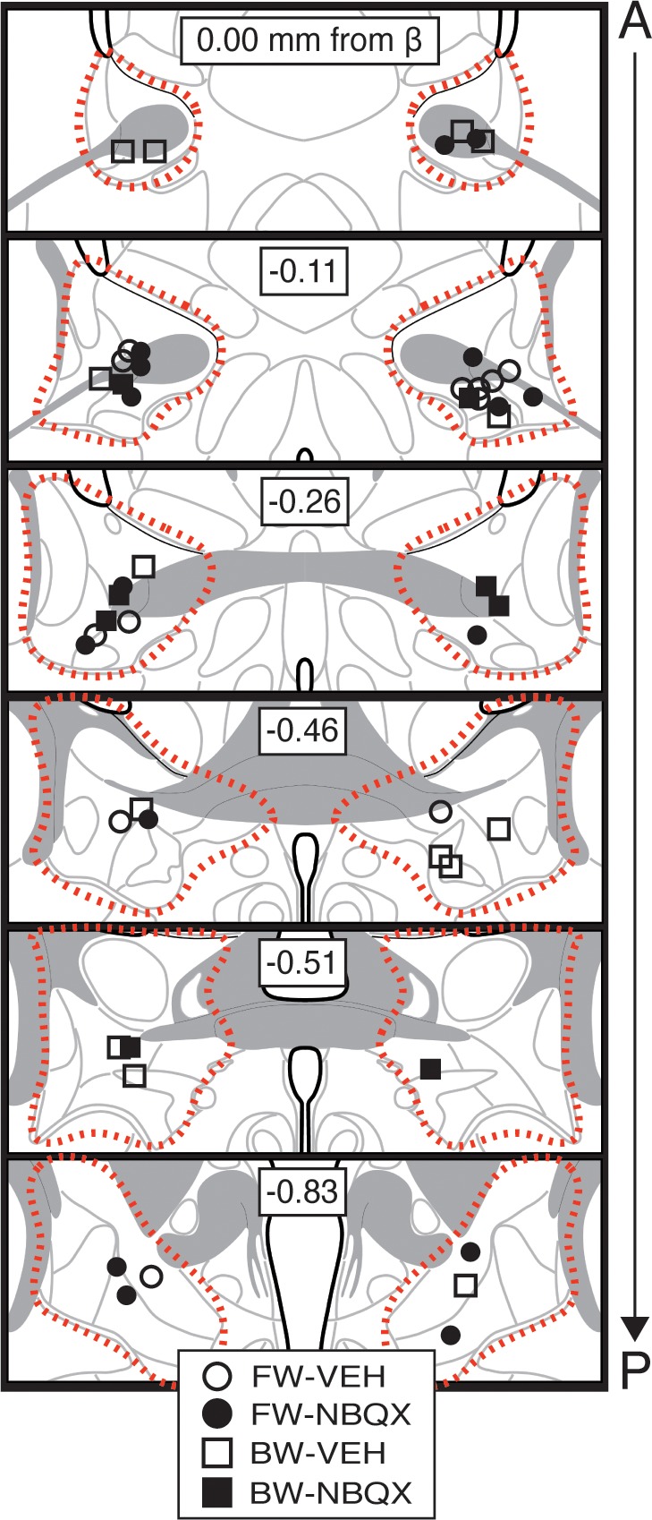 Figure 1—figure supplement 4.