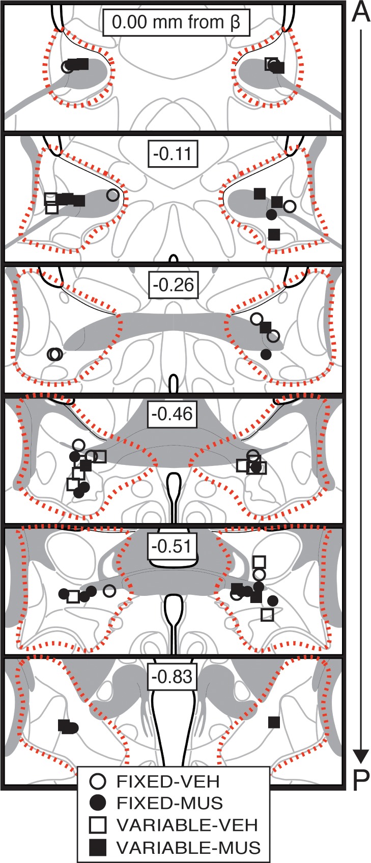 Figure 3—figure supplement 1.