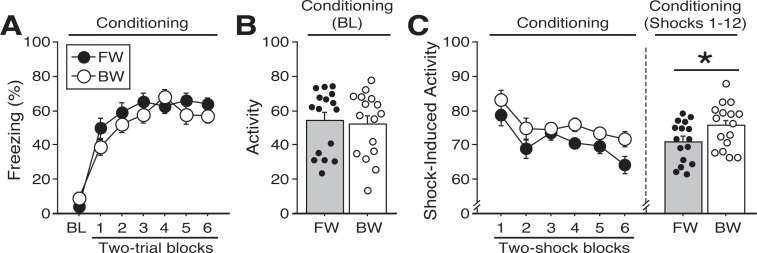 Figure 1—figure supplement 5.