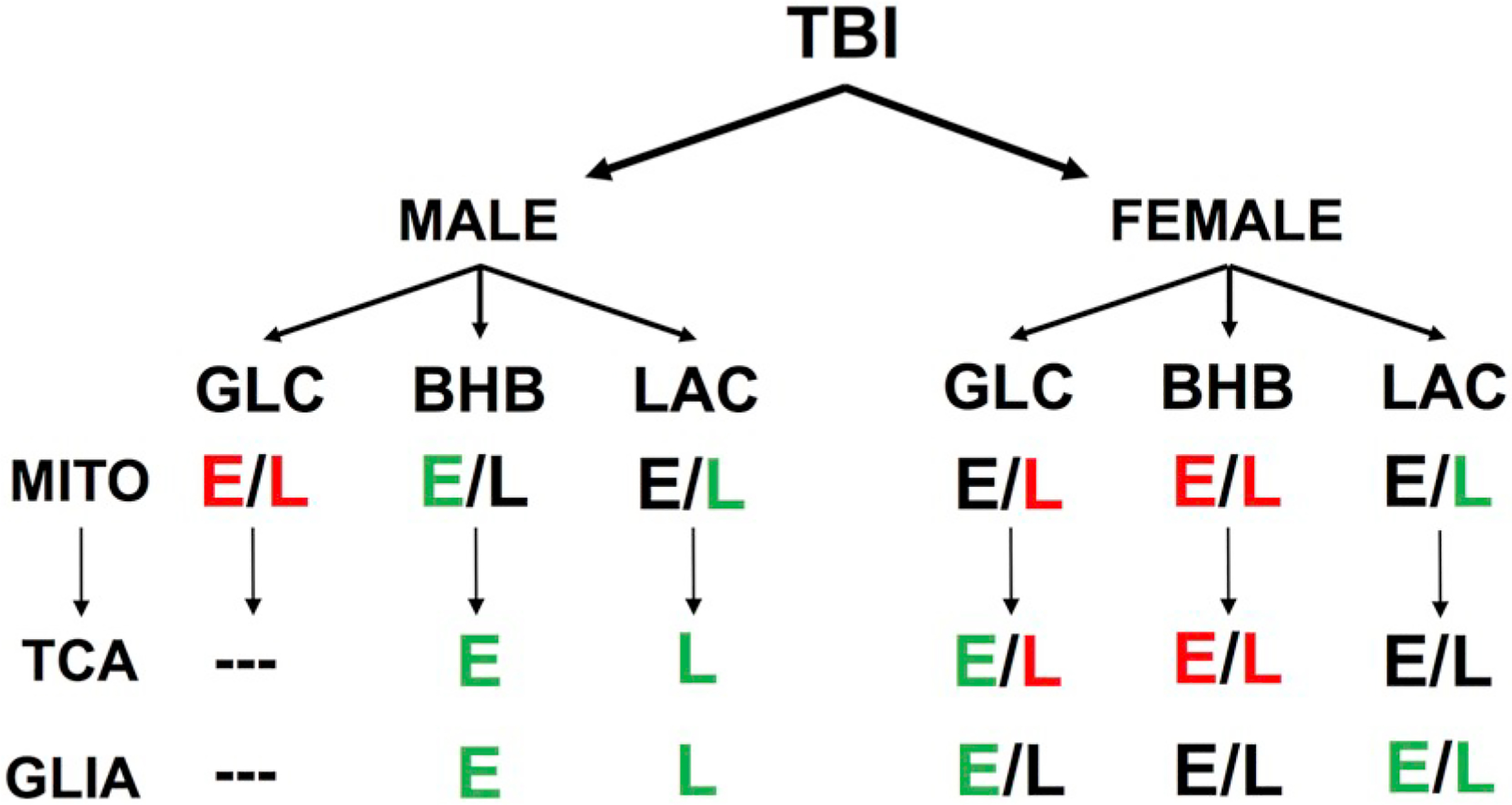 Fig. 10.