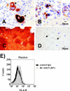 FIG. 7.