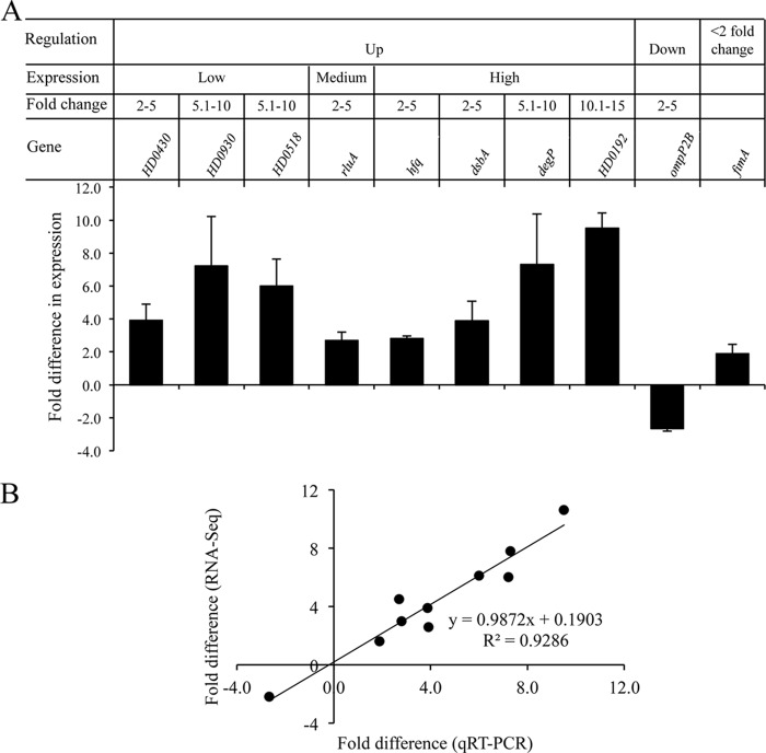 FIG 4