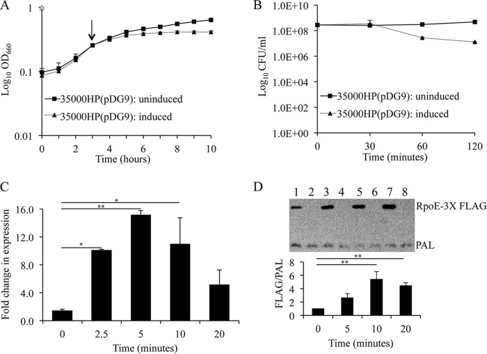 FIG 2