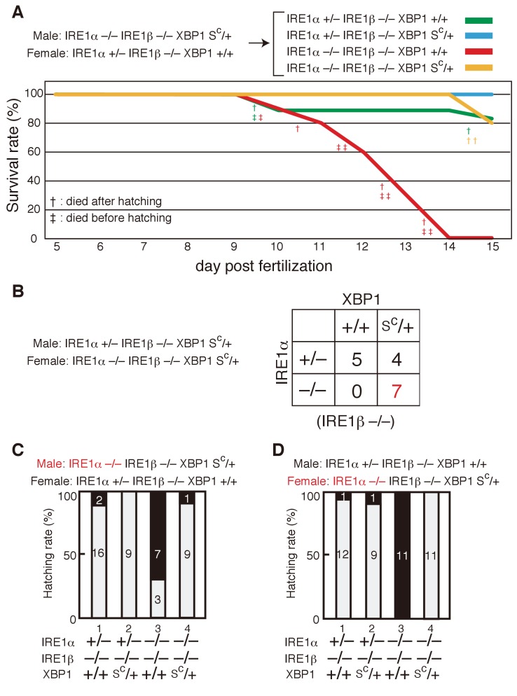 Figure 10.