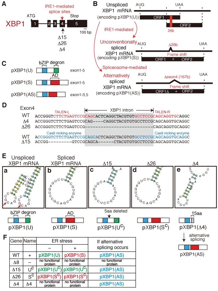 Figure 6.