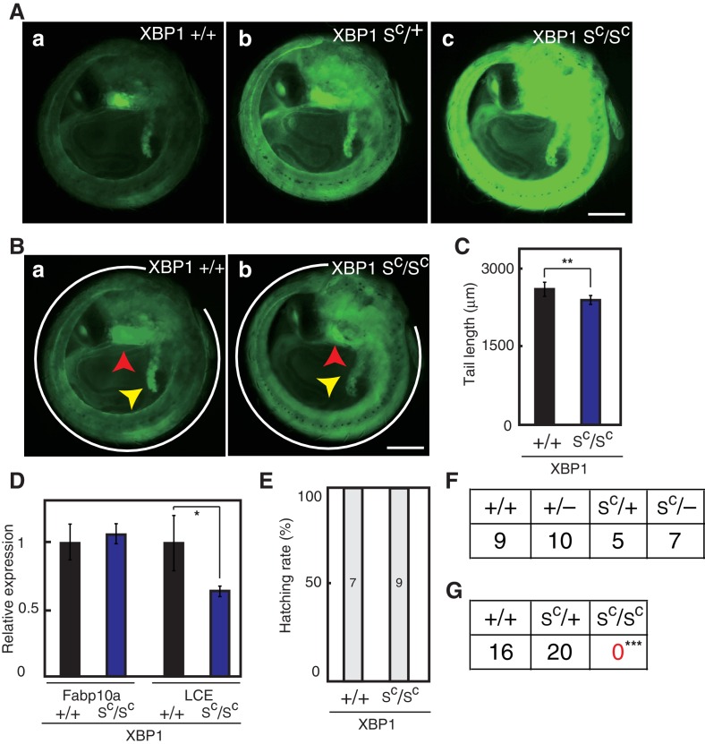 Figure 12.