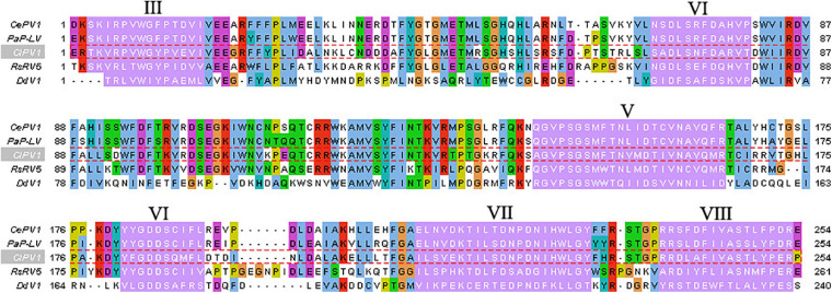 FIGURE 3