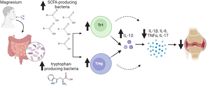 Fig. 11