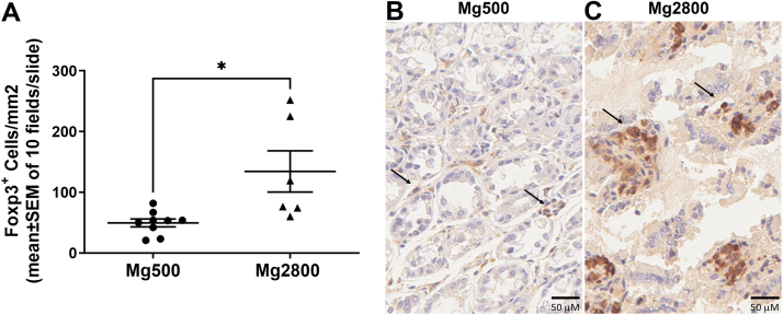 Fig. 7