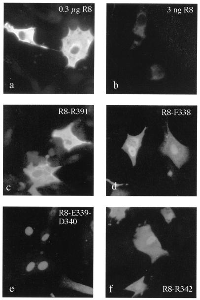 FIG. 8