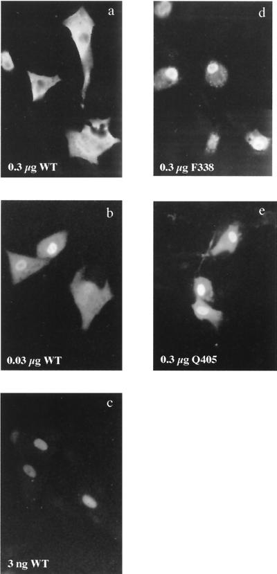 FIG. 6