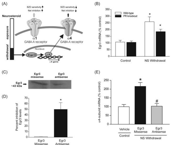 Fig.4