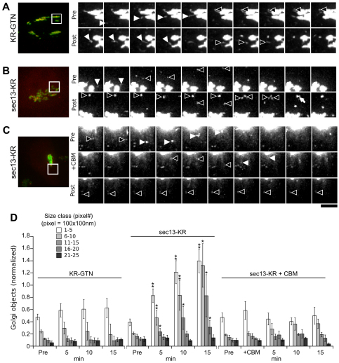 Fig. 4.