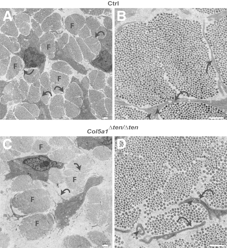 Figure 6