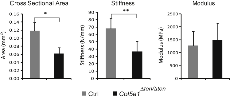 Figure 5