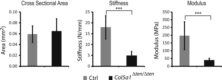 Figure 10