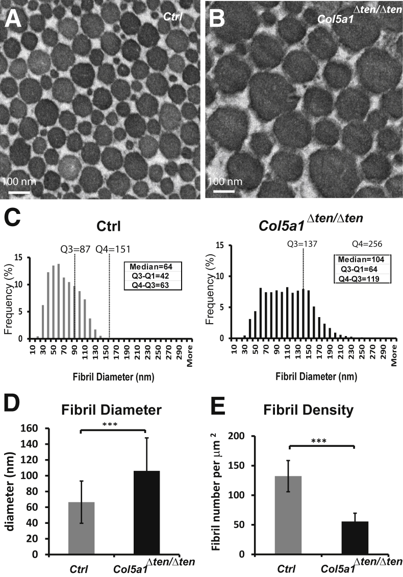 Figure 9