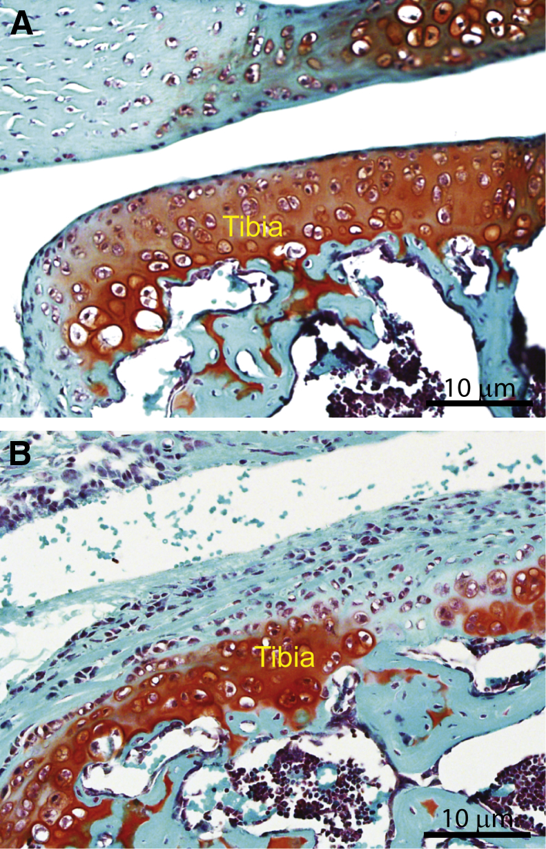 Figure 4