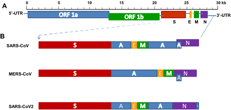 Fig. 2