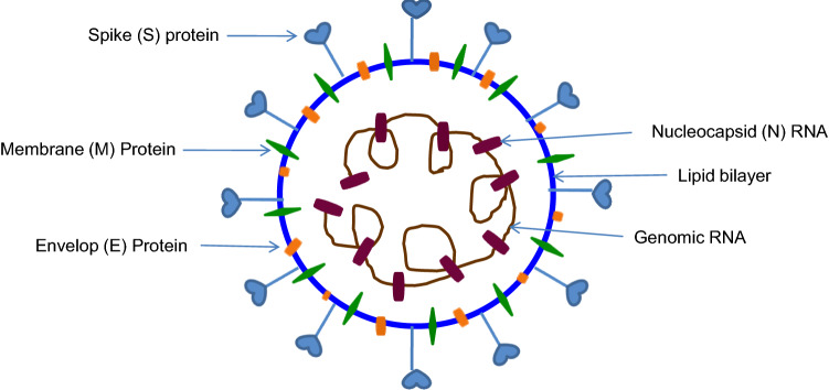 Fig. 1