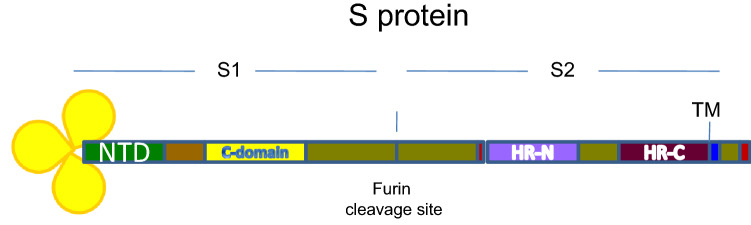 Fig. 3