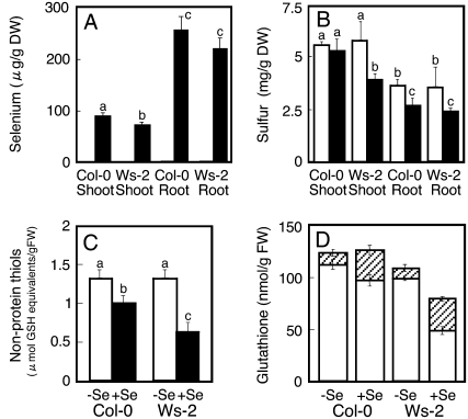 Figure 5.